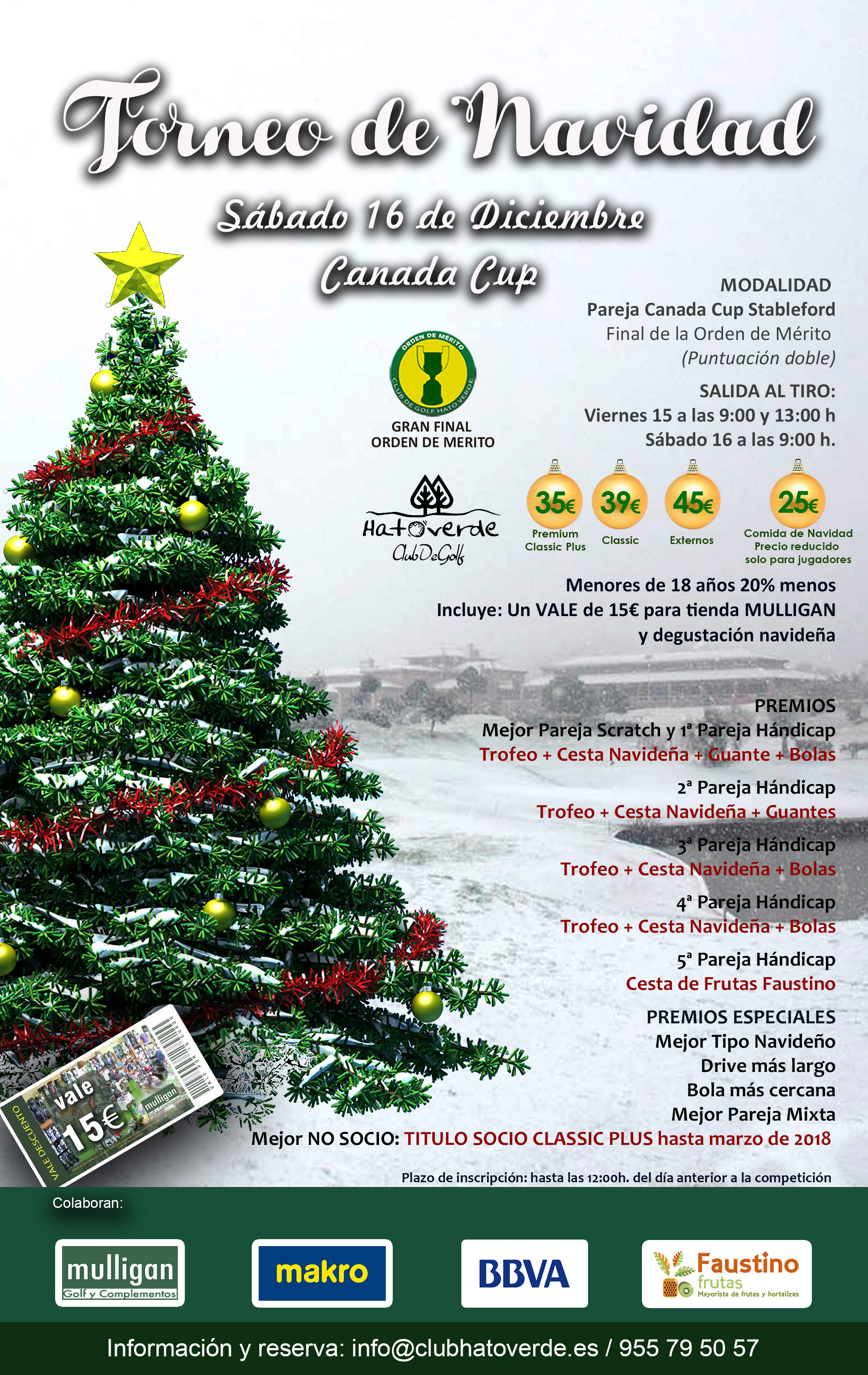 TORNEO DE NAVIDAD Hato Verde