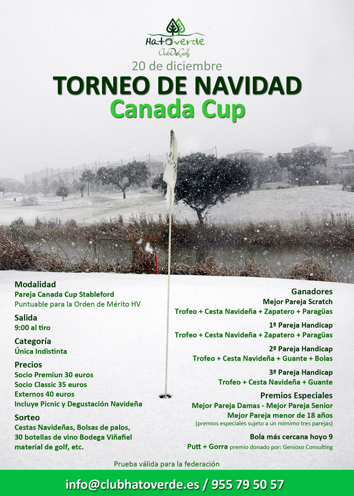 Gran Torneo Navidad