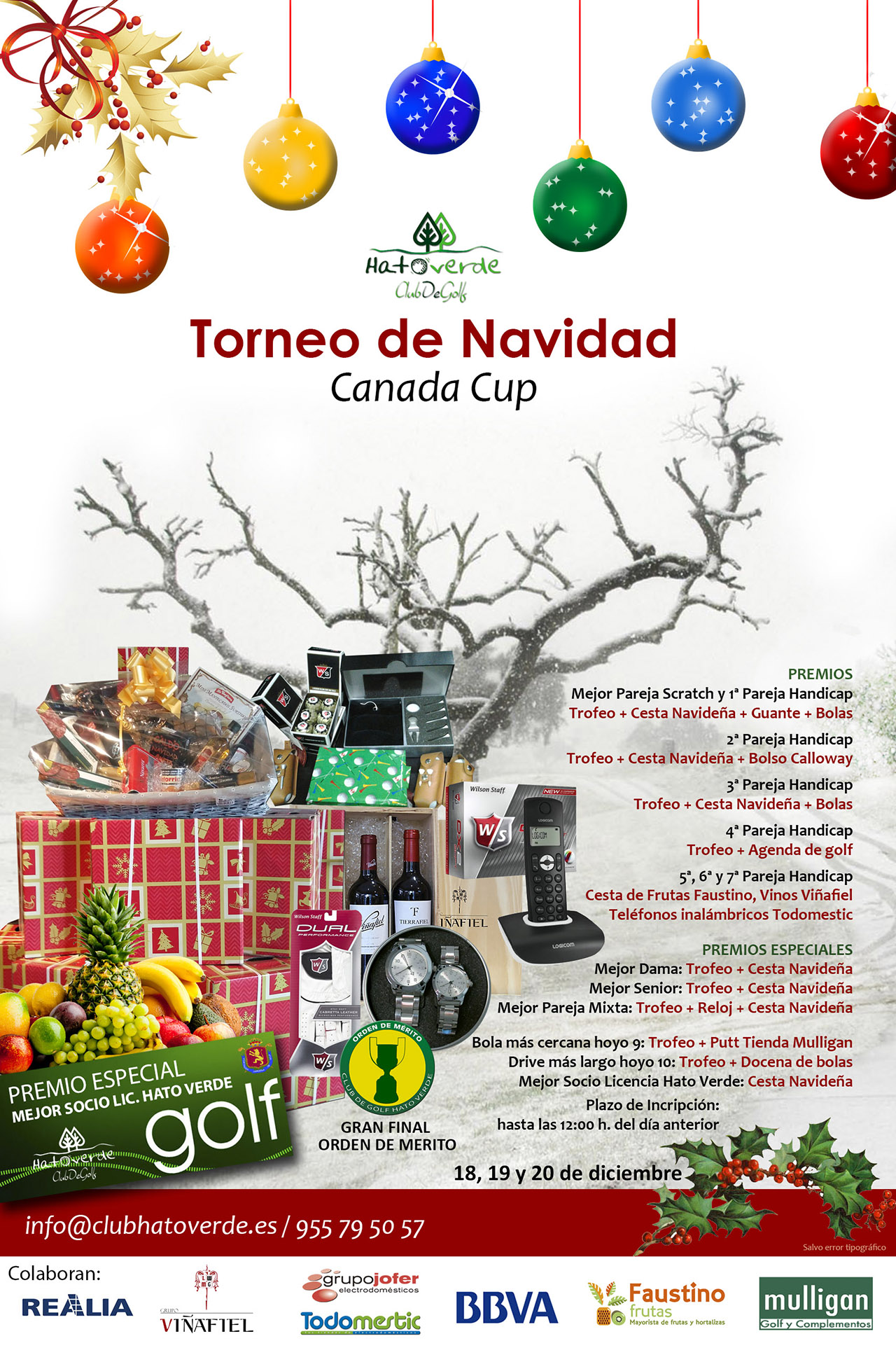 Torneo de Navidad